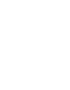 UDT logo